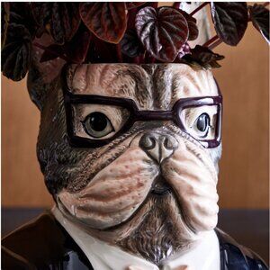 NWOT: West Elm Stoneware French Bulldog With Glasses Dapper Animal Planter